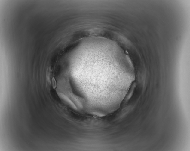 X0000086241346200704121926