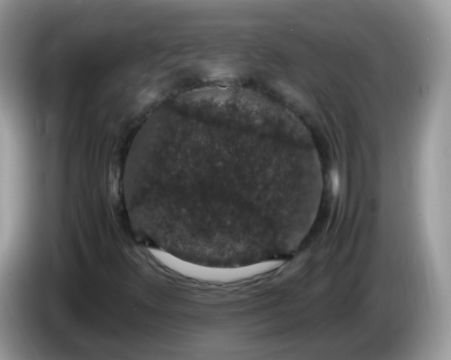 X0000086241348200704121926
