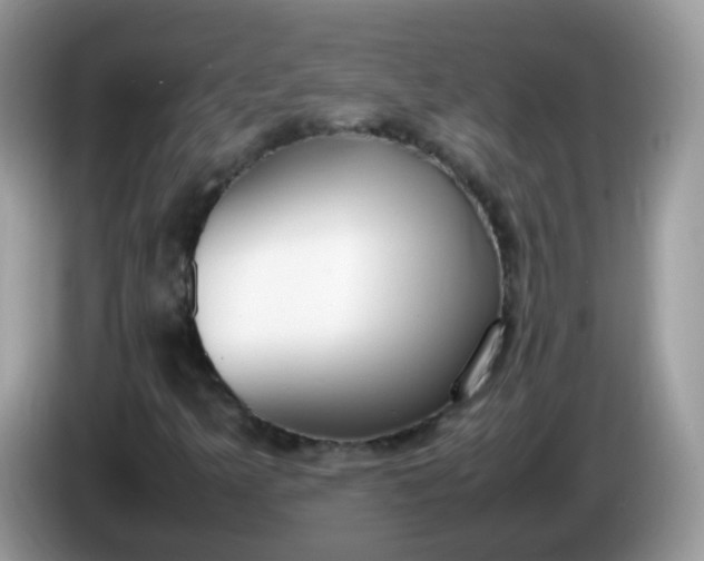 X0000086241349200704121926