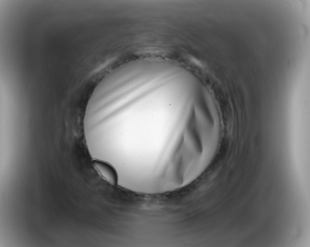 X0000086241350200704121926