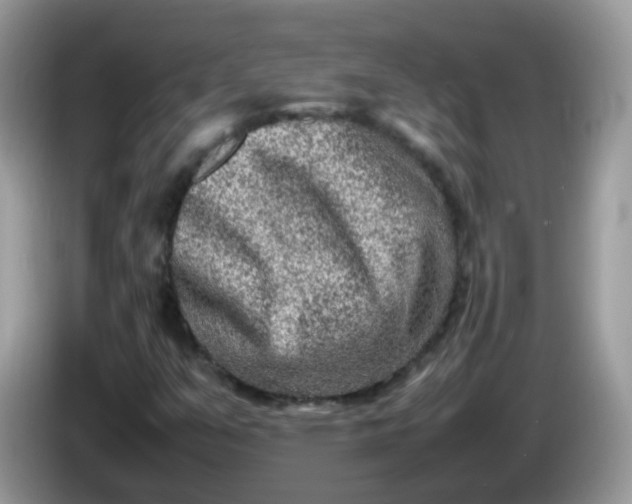 X0000086241351200704121926