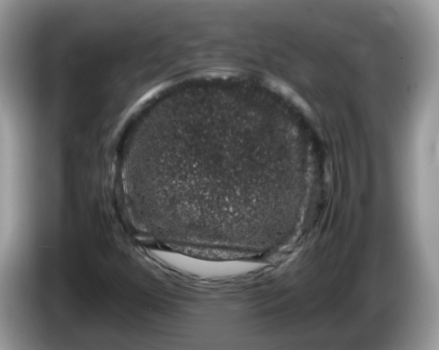 X0000086241352200704121926