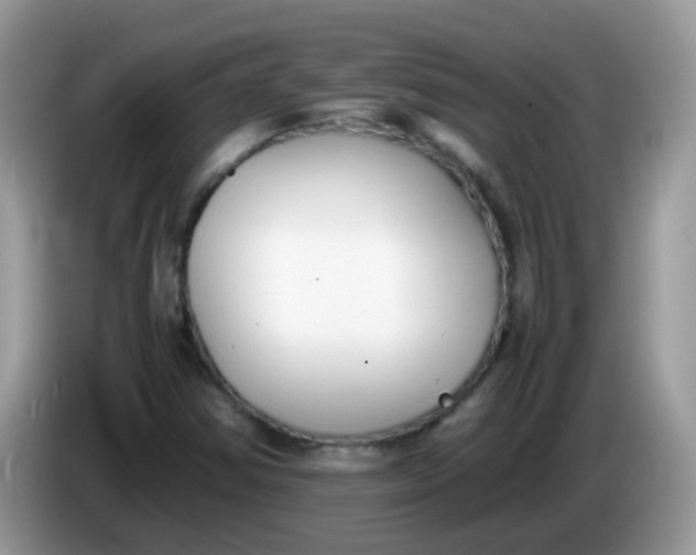 X0000086241354200704121926