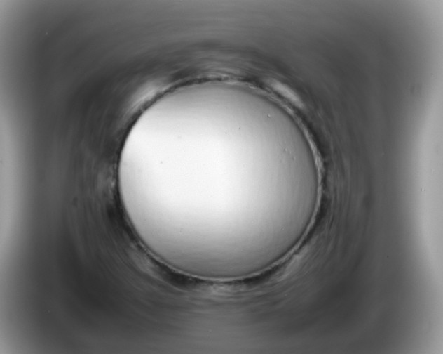 X0000086241355200704121926
