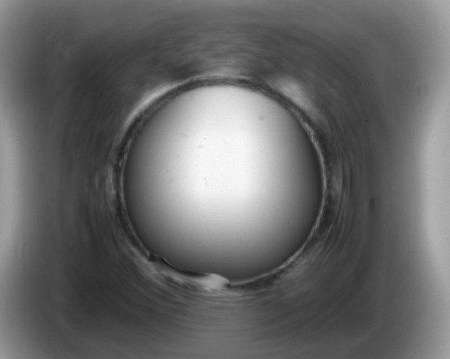 X0000086241356200704121926