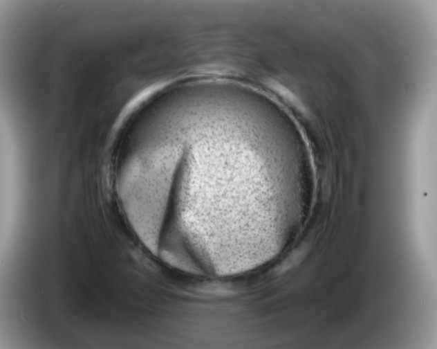 X0000086241358200704121926