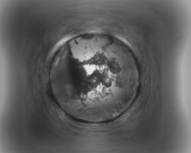 X0000086241359200704121926