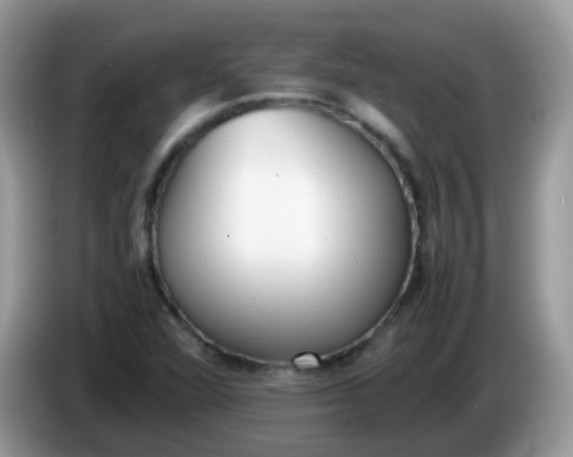 X0000086241360200704121926