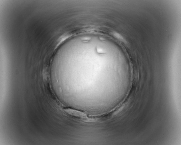 X0000086241361200704121926