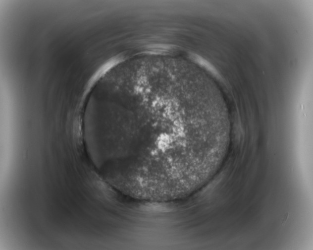 X0000086241362200704121926