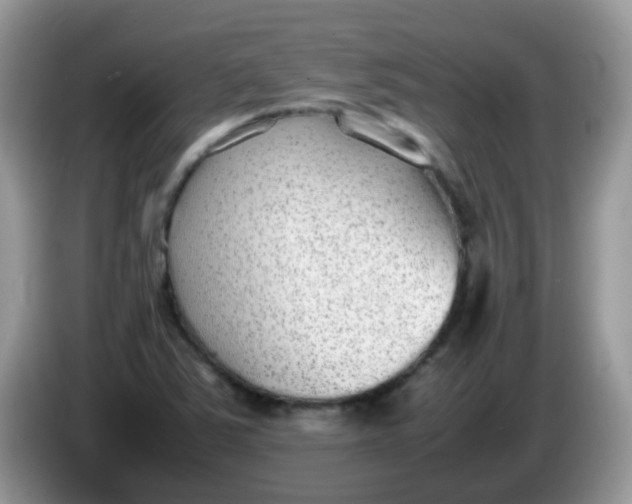 X0000086241363200704121926
