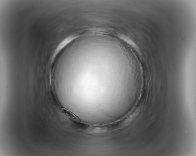 X0000086241365200704121926