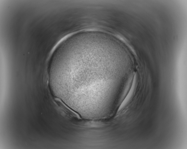 X0000086241368200704121926