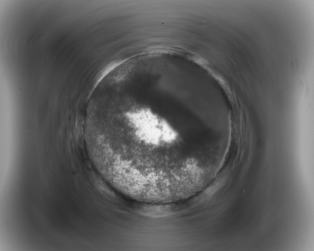 X0000086241369200704121926
