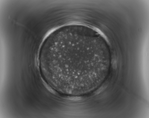 X0000086241372200704121926