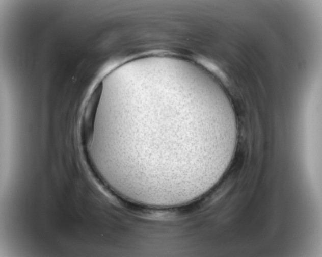 X0000086241375200704121926
