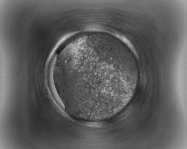 X0000086241376200704121926