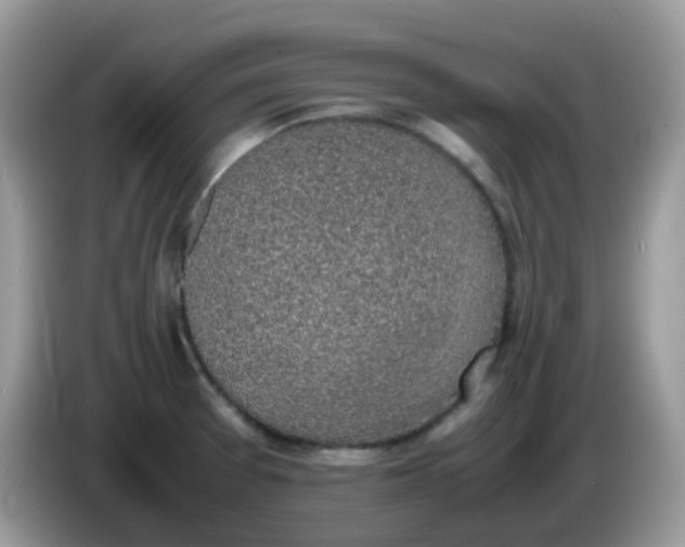 X0000086241377200704121926