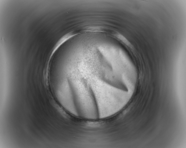 X0000086241378200704121926