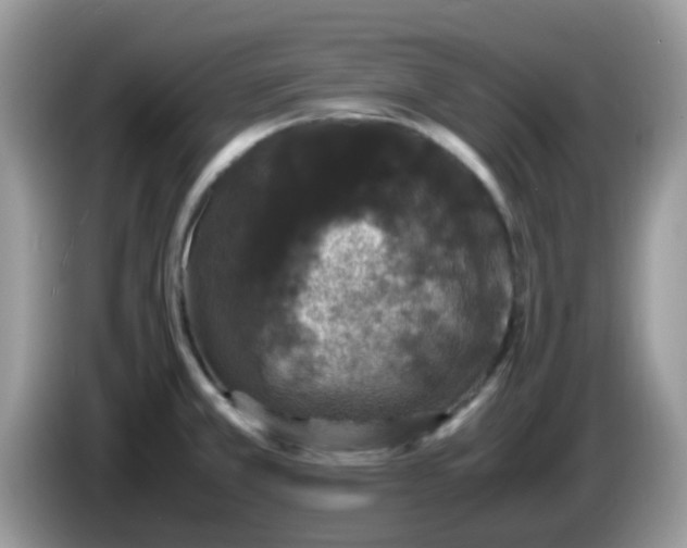 X0000086241381200704121926