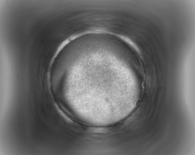 X0000086241382200704121926