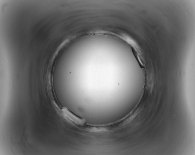 X0000086241384200704121926