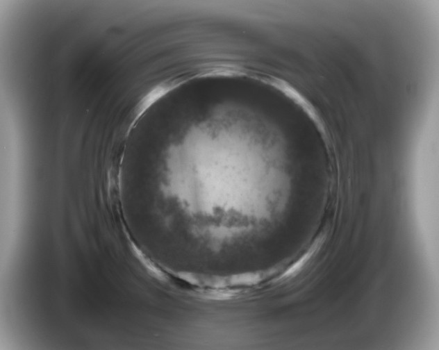 X0000086241385200704121926