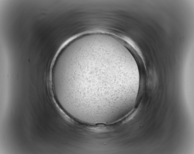 X0000086241388200704121926