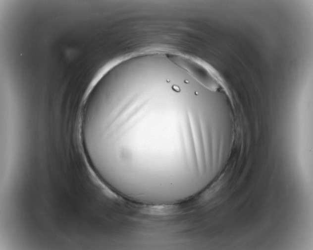X0000086241390200704121926