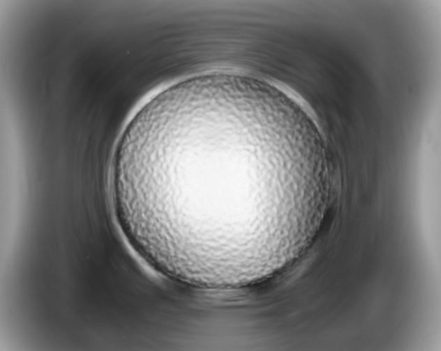 X0000086241391200704121926