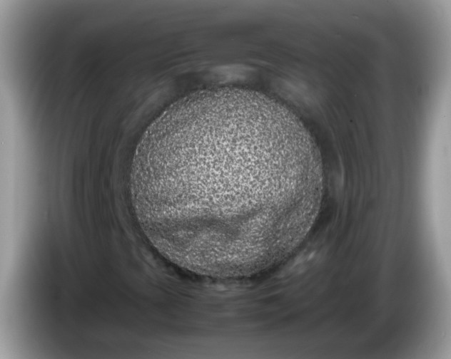 X0000086241393200704121925