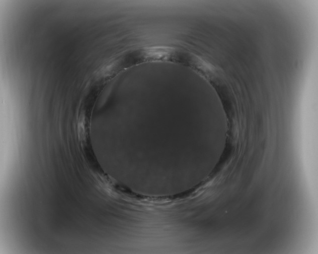 X0000086241394200704121925