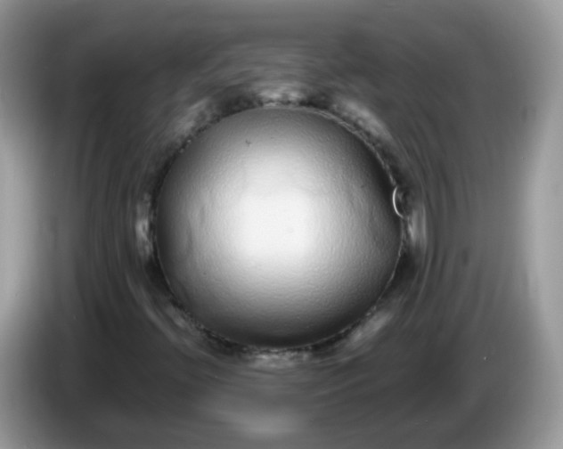 X0000086241396200704121925