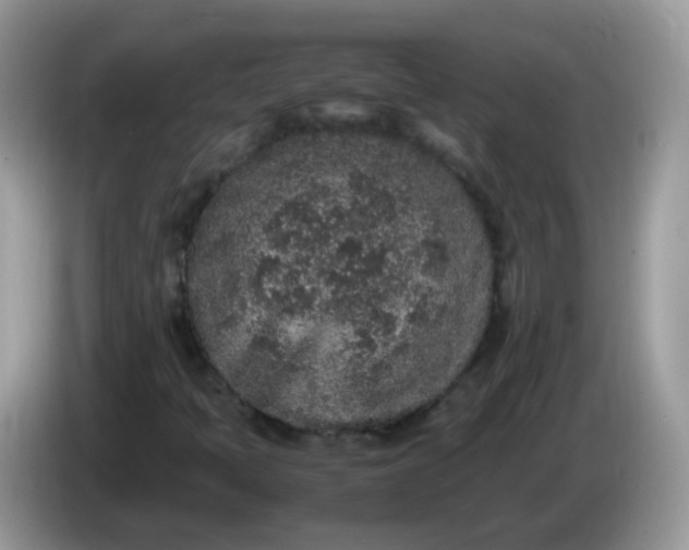 X0000086241397200704121925