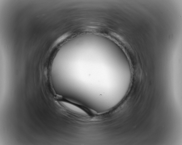 X0000086241402200704121925