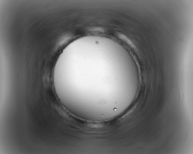 X0000086241403200704121925