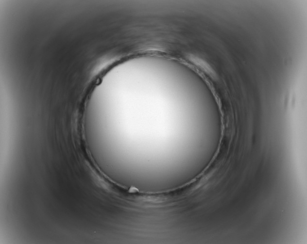 X0000086241404200704121925