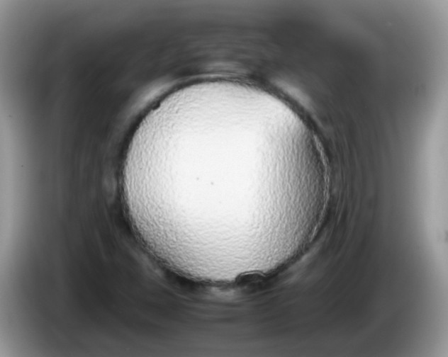 X0000086241407200704121925