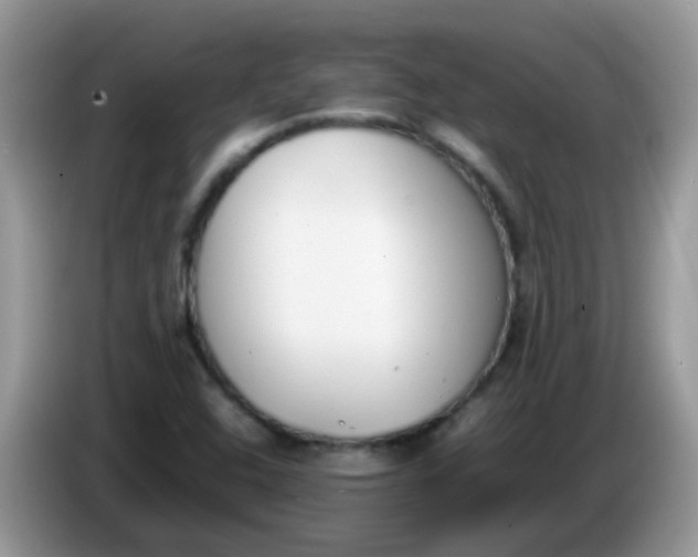 X0000086241408200704121925
