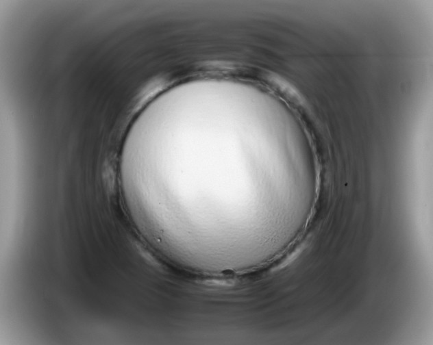 X0000086241409200704121925