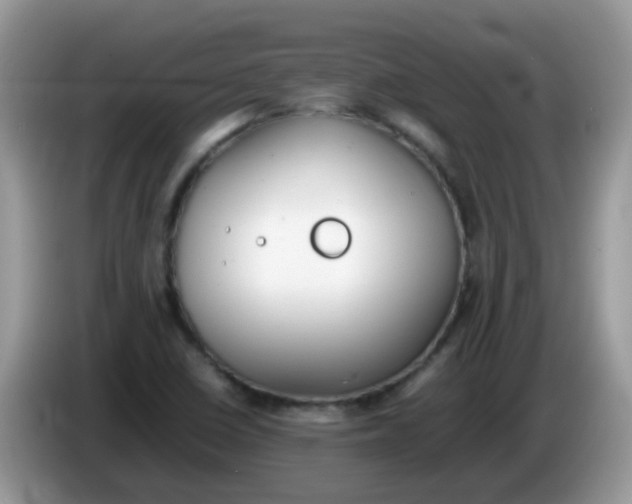 X0000086241410200704121925
