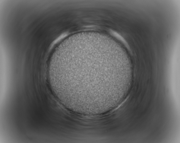X0000086241411200704121925