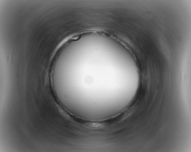X0000086241412200704121925