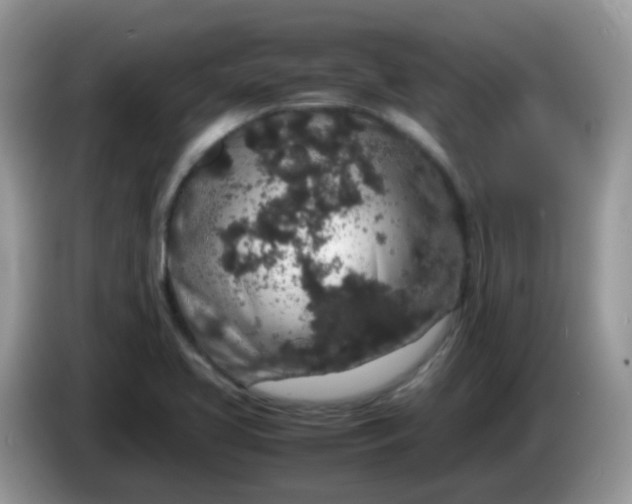 X0000086241413200704121925