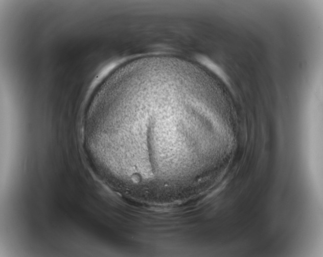 X0000086241415200704121925