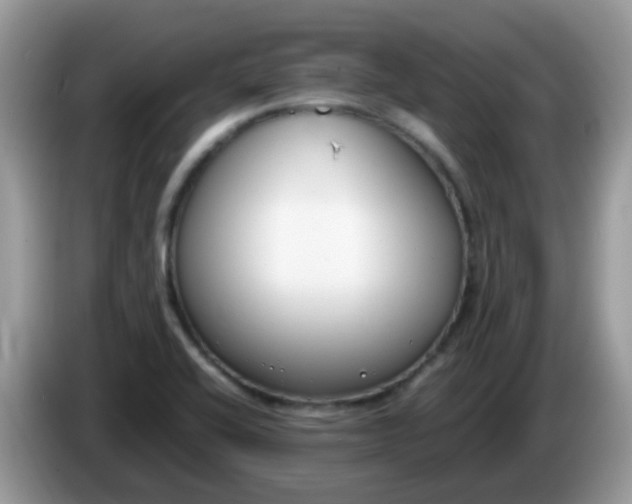 X0000086241416200704121925