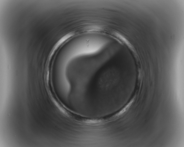 X0000086241418200704121925