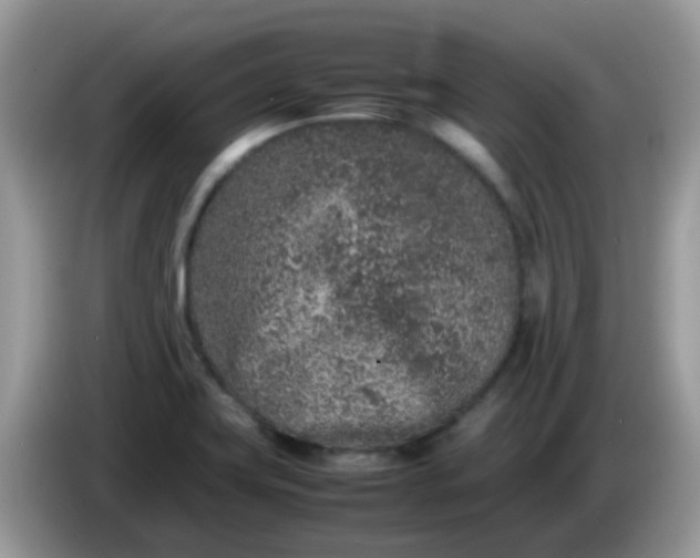 X0000086241419200704121925