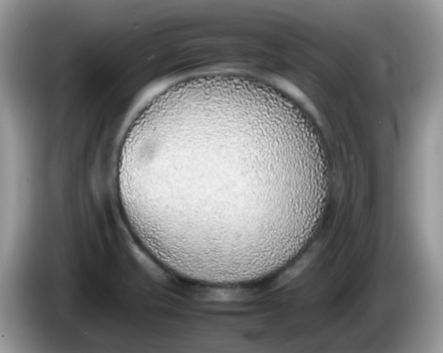 X0000086241421200704121925