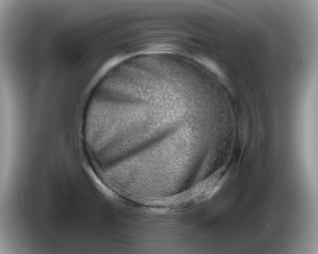 X0000086241422200704121925